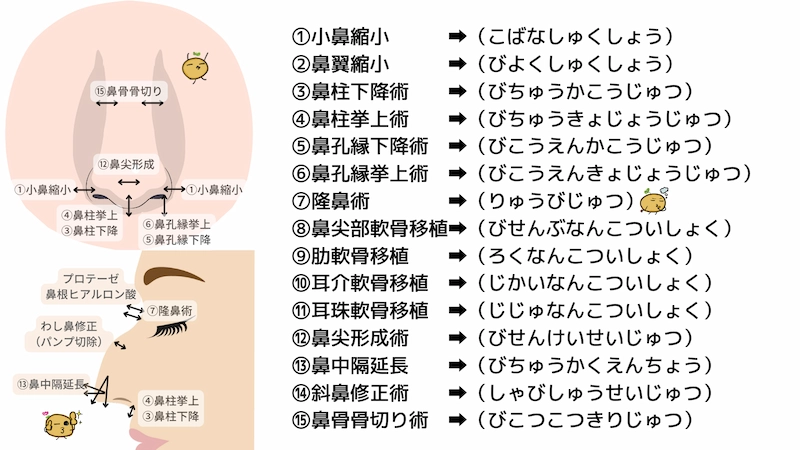 鼻整形の種類　読み方　日本語