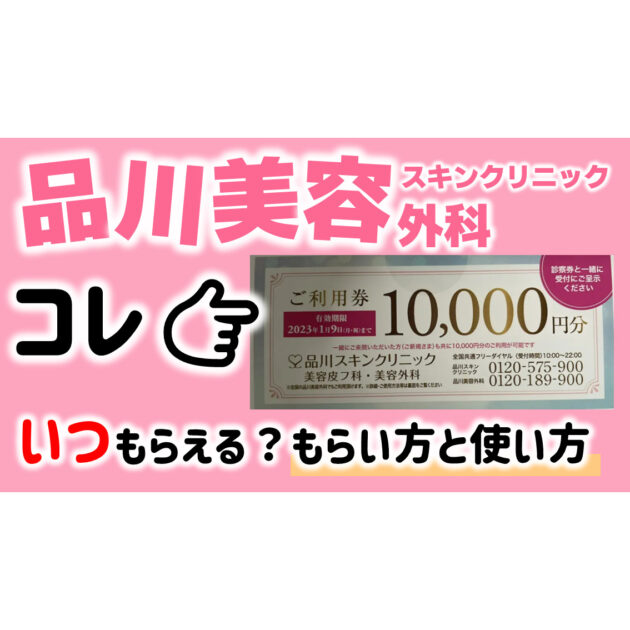 品川スキンクリニック ご利用券 10000円分 - 割引券